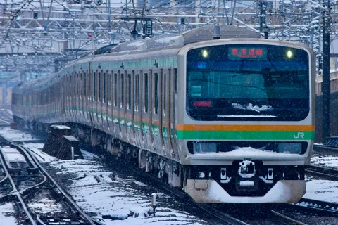雪の中を駆ける東海道線