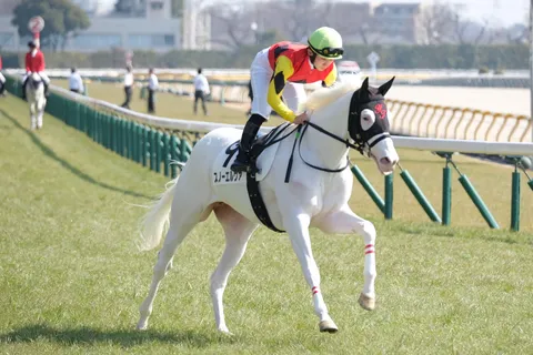 白馬の疾走！風を切り裂く実力派