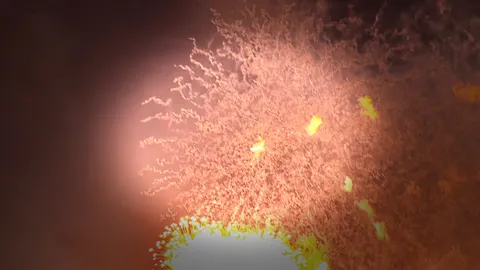 夜空に咲く、幻想的な光の軌跡