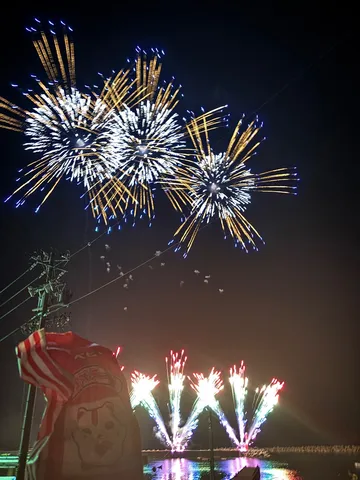 夜空を彩る光の芸術