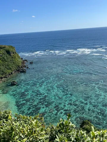 緑と青が揺れる海岸線