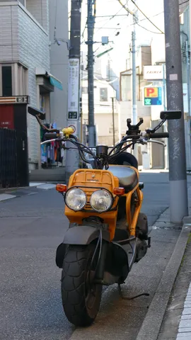 路地に映えるオレンジの鼓動