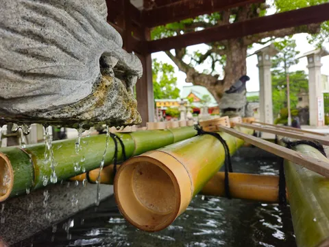 竹筒からの湧き水、清涼感！