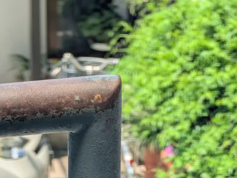 錆びた鉄と新緑のコントラスト