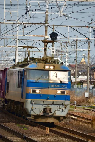 青と黄色のコントラスト、EF510-502