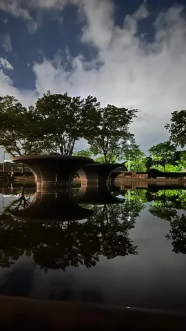 水面に映る円形の静かな光景
