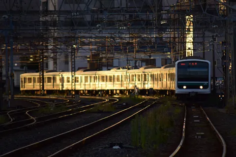 夕暮れの光に輝く列車