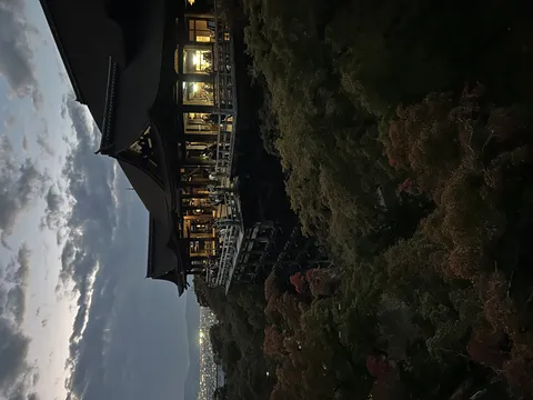 木々彩る古刹の夕景