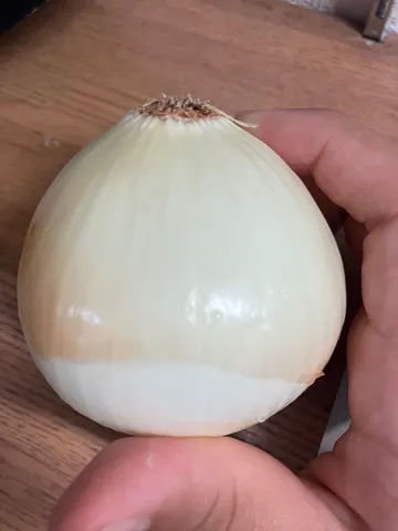 指と玉ねぎのシルエット