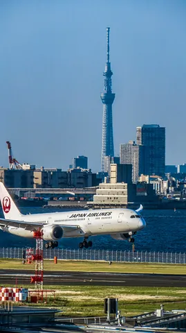 東京スカイツリーとJAL機