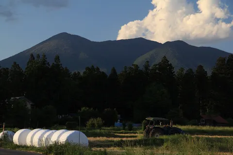 夕暮れの山と田んぼの仕事