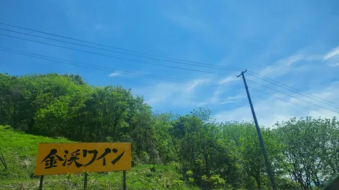 青空と緑、そして文字のコントラスト