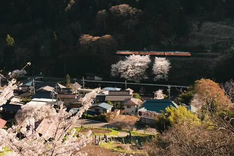 桜と列車、春の里山の風景