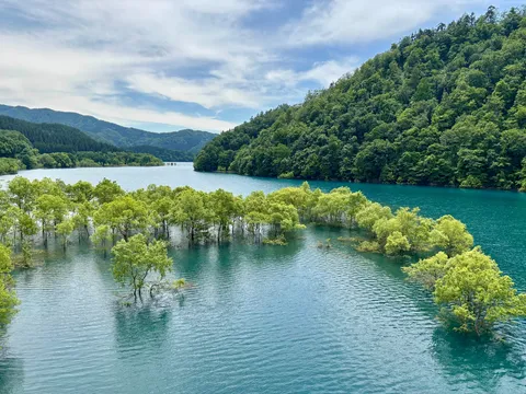 水面に立つ森の時間