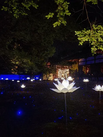 夜空に咲く光の花々