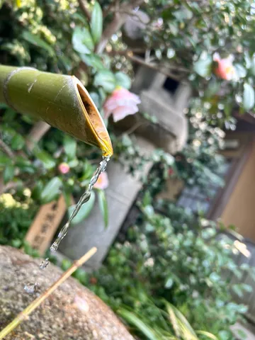 竹筒から水が流れる音