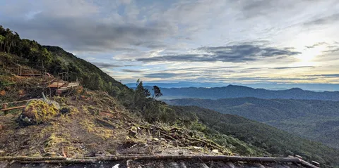 雲海と登山道のワイルドな出会い