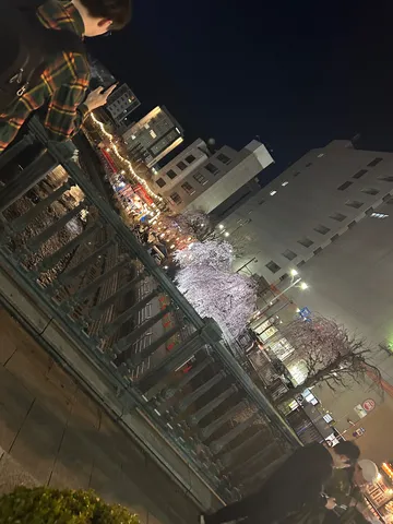 夜風と桜の灯りが並ぶ
