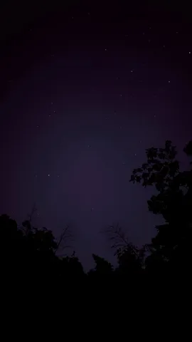 星降る夜