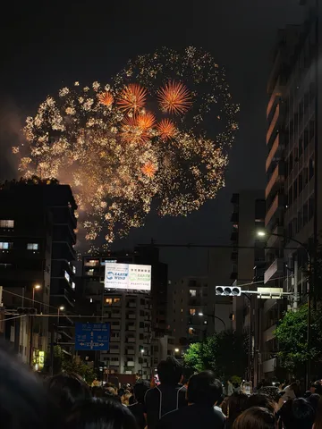 都会の夜空を彩る、感動の花火