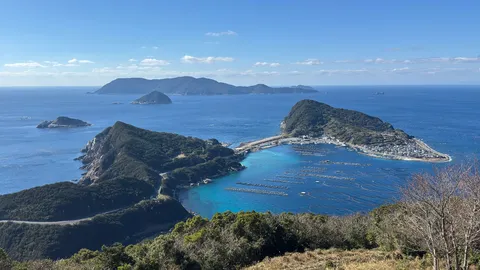 風光る湾の休日感