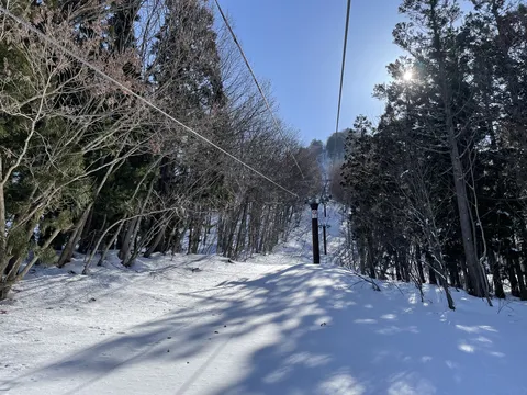 雪道の先に伸びるリフト
