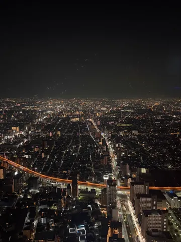 地上を覆う光の絨毯