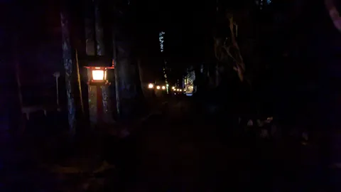 幻想的な灯りの道