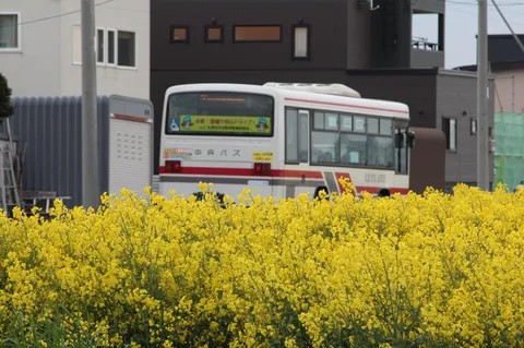 春の訪れ、バス旅