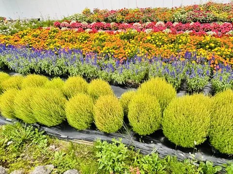 七色の花段
