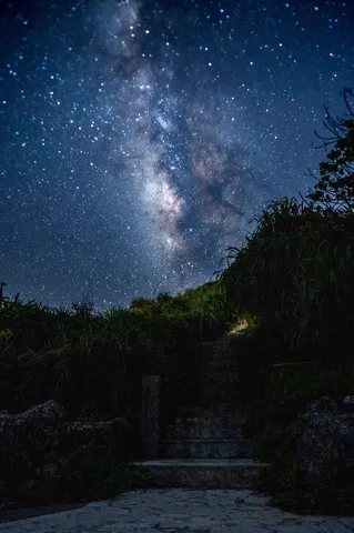 星降る夜の石段