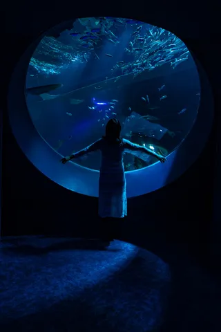 青の向こうへ