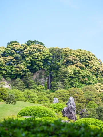 巨大な盆栽？いいえ、庭園です！