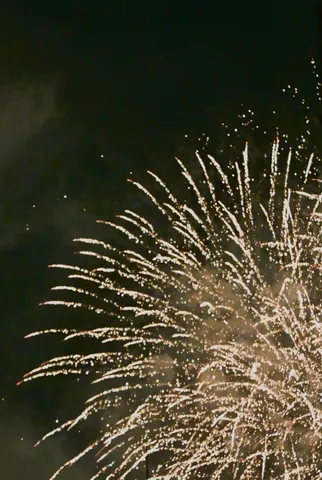 夜空を彩る光の粒