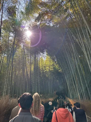 竹林の緑に吸い込まれる道