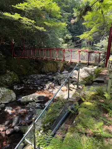 深緑と赤い橋のコントラスト