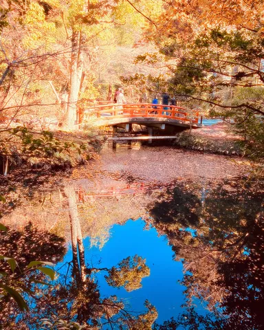 秋色の橋、水鏡の空