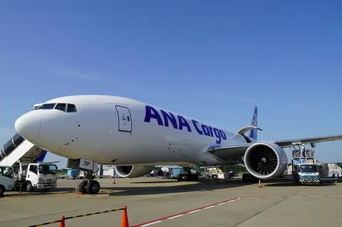 大空へ飛ぶ静かな力強さ