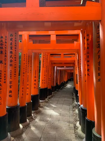 光と影が織りなす鳥居の道