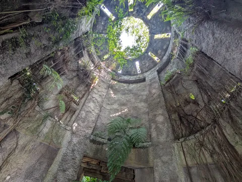 緑に包まれた古代遺跡のような空間