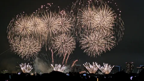 夜空を彩る大輪の輝き