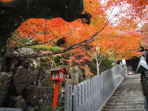 紅葉の枝が包む石段