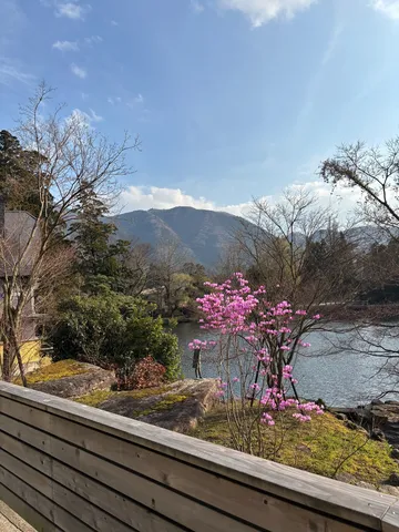 春の訪れ、湖畔のピンクと山並み