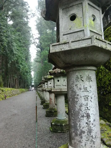 苔むす参道の灯籠列