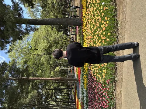 彩り豊かな花園の眺め