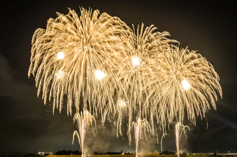 夜空に咲き誇る光の芸術