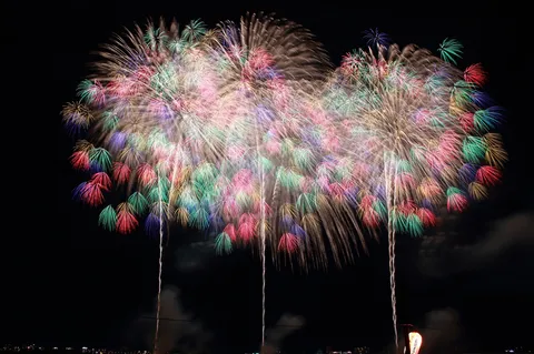 夜空を彩る光の華