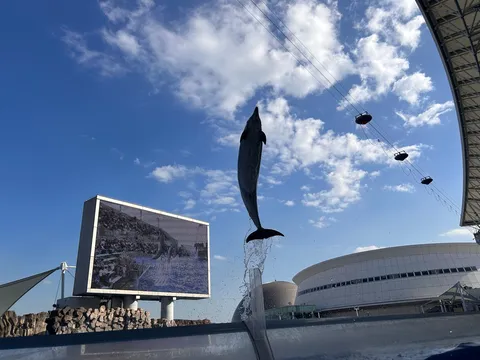 空へ舞う海の像