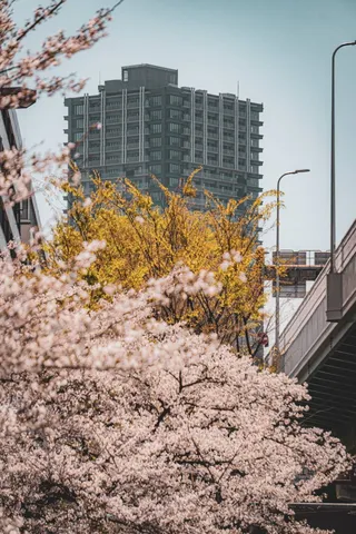 桜霞に浮かぶ街