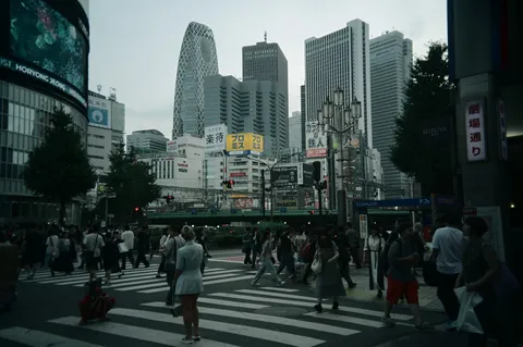 都会の喧騒、横断歩道の光景
